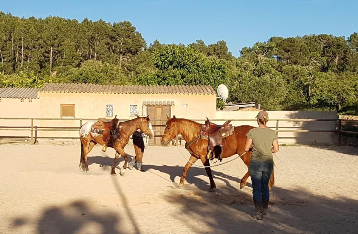 Hotel Finca Caballo Blanco Montuïri Exterior foto