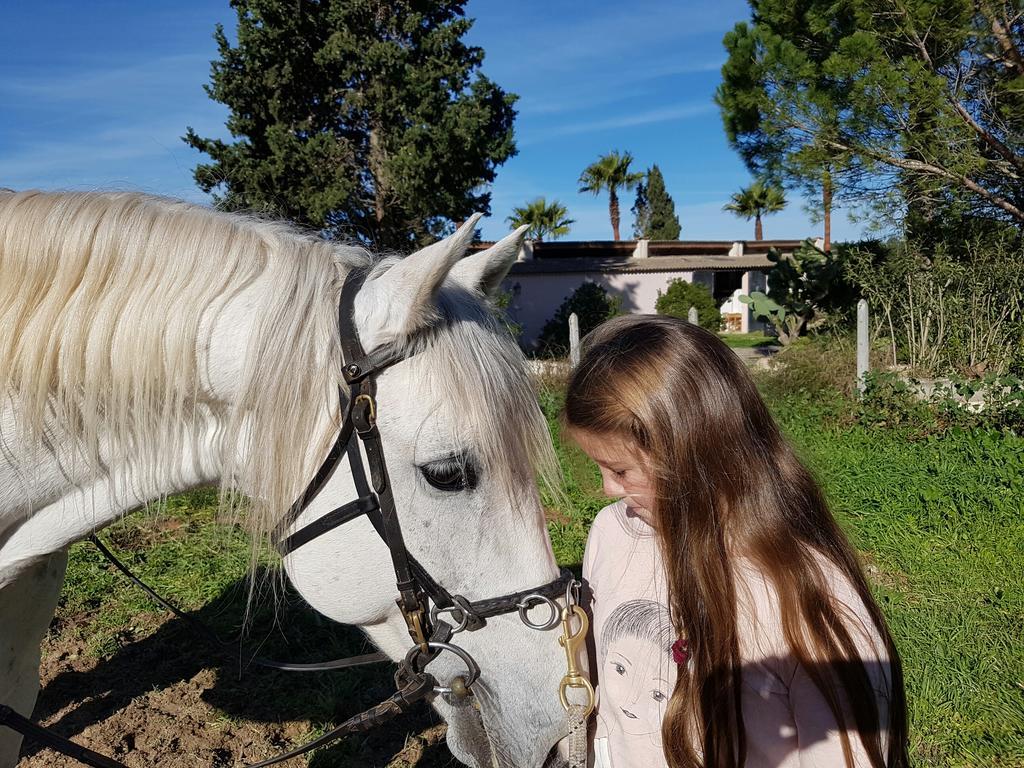 Hotel Finca Caballo Blanco Montuïri Exterior foto
