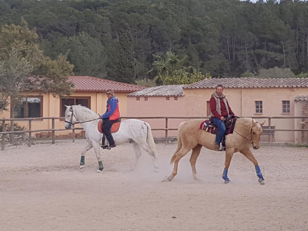 Hotel Finca Caballo Blanco Montuïri Exterior foto