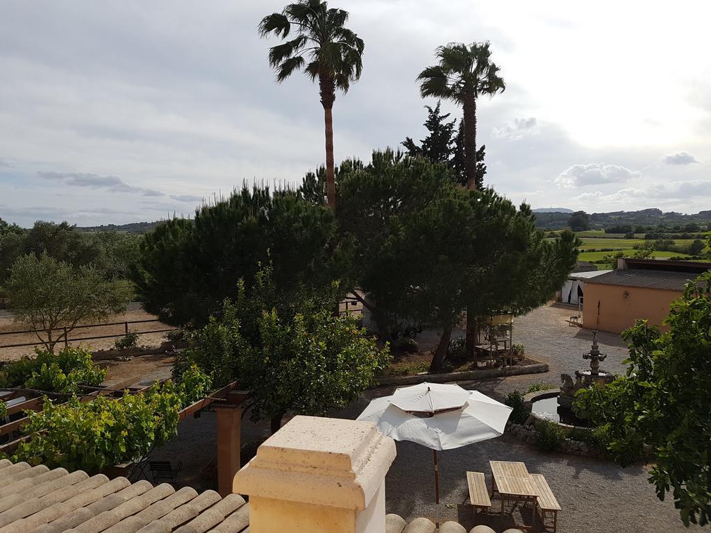 Hotel Finca Caballo Blanco Montuïri Exterior foto