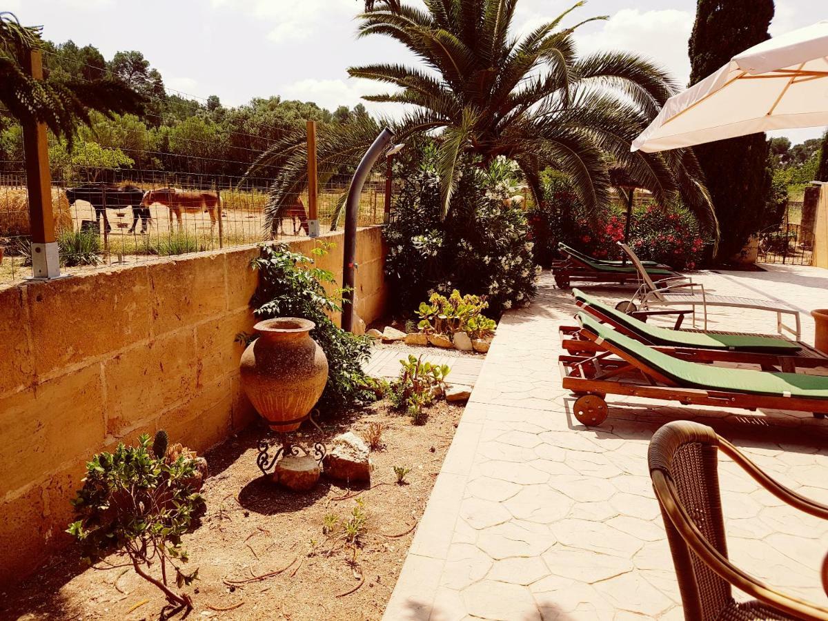 Hotel Finca Caballo Blanco Montuïri Exterior foto